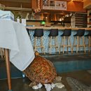 넓은바다집 이미지