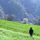 고원주식회사 이미지