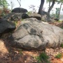 유인숙농장 이미지