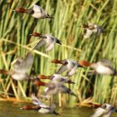 화랑유원지(중심광장) 이미지