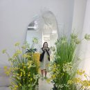 세신샵 봄날 이미지