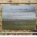 송집수효자각 이미지