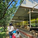 여수농장 이미지