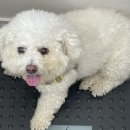 그룸 앤 먼치 이미지