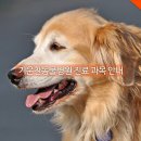 기운찬 동물병원 이미지