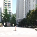 서동부동산 이미지