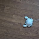 3월14일(탄성력과 마찰력) 이미지