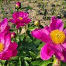 휴스테이 청주 이미지