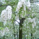 숯골농장 이미지