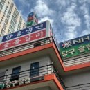 NH 당구클럽 이미지