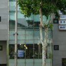 삼성국수 - 강남구 | 삼성국수