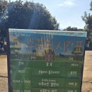 제주기억 | 제주 아침미소목장 후기 아이들과 오래 기억에 남았던 제주 목장 체험