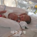 가톨릭대학교 의정부성모병원 이미지