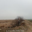 군산 청하대교 이미지