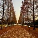 초전공원 수중분수 이미지