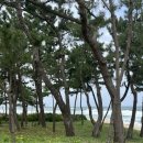 1-2 | 강릉 1박2일 | 강릉에서 혼자 놀기 | 뚜벅이의 강릉 여행기 | 강릉 카페 후기 | 강릉 소품샵