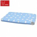 쿨 퍼피 이미지