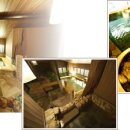 파인민박 이미지