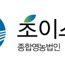 법인초이스팜