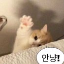[ 석세스짐 아주대점 ] 수원 아주대 헬스장 최상급 시설 / 전문 PT선생님의 세밀한 지도