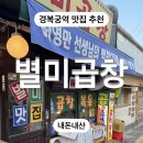경복궁역 근처 허영만 맛집 종로 별미곱창 내돈내산