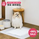 슈퍼디팡 이미지