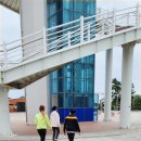 진하농장 이미지