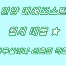 메쎄포스빌 이미지