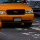 아나모헤어플란트의원 이미지