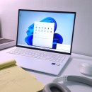 오롯 LG디스플레이점 | LG 그램 17인치 17ZD90RU-GX56K 가성비 노트북 추천 엘지그렘 실사용 후기