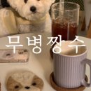 미쓰포차 이미지
