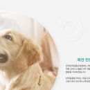 애견학당펫푸드전문학원 이미지