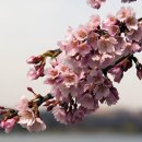케이휴(K-휴) 이미지