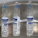 EU, 러시아 백신에 눈 돌려..독·프·러 정상도 논의 이미지