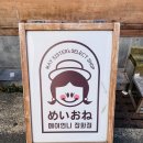 메이언니잡화점 | [부산] 3일차, 전포역 근처 소품샵, 메이언니 잡화점 후기