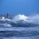 바닷가에서 이미지