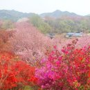 완산공원(아래) 이미지