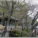 사람들과 자동차 이미지