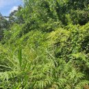 주천면 하송마을 이미지