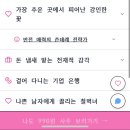 지인 | 내돈내산 진짜 용한 인터넷 사주 👀사주아이추천/ 지인추천 후기