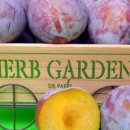 푸른들농장 이미지