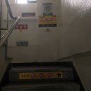 김다연찜비안 이미지