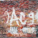 꼬네 - 제천시 | 꼬네