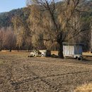 달창농장 이미지