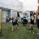 갤러리아의원 이미지