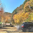 늘편한캠핑장 이미지