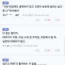캣맘들이 받는 핍박 이미지