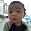 후곡일산왕족발