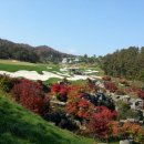 휘닉스 대중골프장 이미지