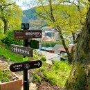 경기둘레길 파주7코스 | 경기도 파주 율곡이이 조선시대 정자 화석정 경기둘레길 7코스